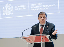 campo-y-caza/20260914/planas-defiende-importacion-aceite-tunez-aranceles-no-tiene-efecto-directo-precios_458562