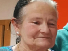 espana/galicia/20260914/buscan-perros-drones-dolores-vecina-toen-demencia-desaparecida-desde-domingo_458729