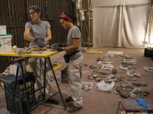 espana/la-voz-de-cordoba/cultura/20260915/asi-avanza-restauracion-capilla-expectacion-catedral-cordoba_459131
