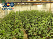espana/andalucia/20260917/hotel-abandonado-granada-funcionaba-como-plantacion-marihuana-consumia-luz-63-viviendas_459793