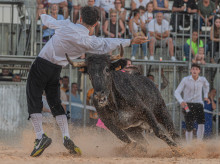 espana/comunidad-valenciana/20260922/aficion-taurina-valenciana-une-recurrir-reglamento-bous-carrer-generalitat_461264