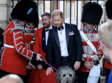 gente/20260922/principe-harry-planea-documental-netflix-sobre-madre-lady-di_461312