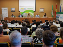 espana/la-voz-de-cordoba/economia/20260922/inteligencia-artificial-abre-paso-regadio-cordoba-inversiones-70-millones_461512