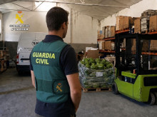 espana/castilla-y-leon/20260924/dos-detenidos-robar-productos-banco-alimentos-palencia-venderlos-tienda-madrid_462266