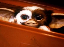 cine-tv-series/20260924/todo-sabe-hasta-ahora-nueva-pelicula-gremlins-clasico-80-vuelve-cine_462349
