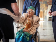 gente/20260924/muere-wilma-perrita-astrid-noruega-dias-despues-fallecimiento-duena_462507
