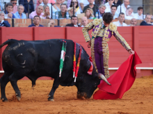 cultura/20260924/pesar-calor-torrido-magnifica-entrada-novillada-inicial-feria-san-miguel_462544