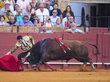 cultura/20260925/no-hay-billetes-calor-bochornoso-toros-fuerza-casta-feria-san-miguel_462852