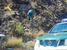 espana/castilla-y-leon/20260926/guardia-civil-investiga-dos-personas-incendio-forestal-arraso-68-hectareas-bana-leon_463121
