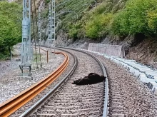 sociedad/20260926/muere-oso-pardo-atropellado-tren-altura-localidad-cantabra-caneda_463152