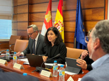 espana/castilla-y-leon/20260928/castilla-leon-reclama-gobierno-fondos-5g-rural-necesitamos-1000-torres-no-da-dos_463620