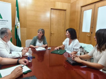 espana/la-voz-de-cordoba/actualidad/20261002/satse-traslada-delegada-salud-necesidades-enfermeria-fisioterapia-cordoba_465286