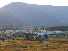 espana/comunidad-valenciana/20261010/ley-nietos-dispara-numero-votantes-residentes-extranjero-hasta-30-censo-municipio-alicante_466515