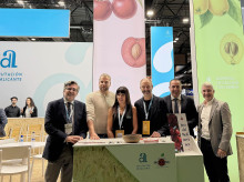 espana/comunidad-valenciana/20261006/diputacion-alicante-exhibe-excelencia-productos-hortofruticolas-escaparate-internacional-fruit-attraction_466726
