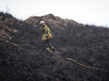 sociedad/sociedad-medio-ambiente/20261007/ingenieros-montes-espana-necesita-invertir-2000-millones-contra-incendios_467024