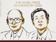 ciencia/20261007/nobel-quimica-2026-premia-descubrimiento-permite-fabricar-moleculas-sola-direccion_466844