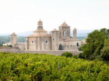 espana/cataluna/20261012/rey-felipe-vi-presidira-jueves-reunion-patronato-real-monasterio-poblet_468200