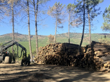 espana/castilla-y-leon/20261015/incendio-burgohondo-amenaza-puede-prolongarse-durante-anos_468696