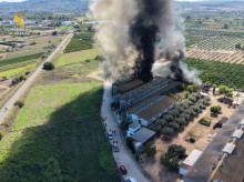 espana/comunidad-valenciana/20261012/rescatan-cinco-trabajadores-3300-cerdos-granja-incendiada-benaguasil_468694