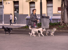 familia/20261015/bodas-hijos-mitad-espanoles-no-casara-40-mujeres-no-sera-madre-segun-informe-ceu_469667