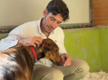 espana/comunidad-valenciana/20261020/centro-municipal-acogida-animales-valencia-facilita-adopcion-130-perros-gatos-durante-meses-verano_471781