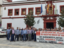 espana/andalucia/20261021/tractorada-toma-pueblo-jaen-protestar-contra-plantas-solares-arrancaran-40000-olivos_471854
