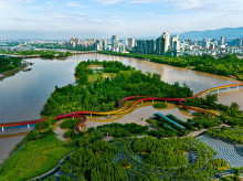 sociedad/sociedad-medio-ambiente/20261023/asi-son-ciudades-esponja-modelo-urbanistico-aspira-recuperar-70-agua-lluvia_472106