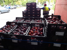espana/la-voz-de-cordoba/actualidad/20261021/banco-alimentos-cordoba-supera-este-ano-entradas-millon-kilos_472182