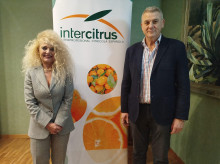espana/comunidad-valenciana/20261021/intercitrus-elige-inmaculada-sanfeliu-nueva-presidenta-ejecuta-extension-norma_472229