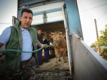 campo-y-caza/20261023/norma-sobre-bienestar-animal-cierne-sobre-ganaderos-espanoles-hacer-tambien-brasil_472747
