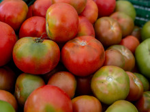 campo-y-caza/20261024/aumento-costes-competencia-desleal-desangran-tomate-nacional-precios-altos-bastan_473188