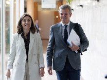 espana/galicia/20261026/angeles-vazquez-sustituye-fabiola-garcia-salida-gobierno-gallego-concurrir-elecciones_473946
