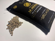 espana/castilla-y-leon/20261028/crean-dos-decadas-trabajo-nueva-lenteja-menos-piel-sabor-exquisito_474088
