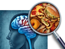 salud-y-bienestar/salud/20261027/estudio-ceu-descubre-mecanismo-cerebral-podria-explicar-como-afecta-obesidad-memoria_474223