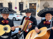 espana/madrid/20261027/juventudes-pp-mandan-grupo-mariachis-despedir-delegado-gobierno-rata-inmunda_474235