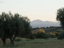 espana/castilla-la-mancha/20261028/nuevo-modelo-cementerio-triunfa-35-minutos-atocha-bosque-funerario-recordarium_474499