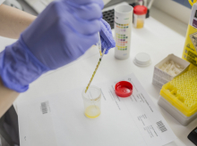 salud-y-bienestar/salud/20260401/analisis-rapido-orina-busca-antibiotico-correcto-menos-seis-horas_401934