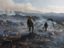 sociedad/sociedad-medio-ambiente/20260801/ganadero-navalmoral-sierra-desmiente-gobierno-no-dejan-cortar-rama_445941