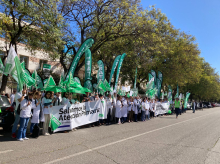 espana/la-voz-de-cordoba/sociedad/20260806/satse-cordoba-reclama-igualdad-trato-ante-reforma-diplomas-acreditacion_447248