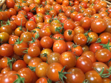 campo-y-caza/20261016/espana-paga-tomates-marruecos-agricultores_469615