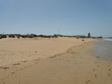 espana/andalucia/20260606/playas-andalucia-quedan-prohibidas-bano-riesgo-salud_425904