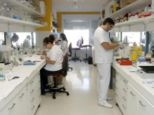 espana/la-voz-de-cordoba/actualidad/20260922/cordoba-investigan-20-tipos-distintos-canceres_461372