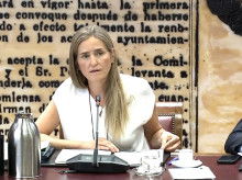 espana/comunidad-valenciana/20260506/senado-cita-aagesen-mismo-dia-maribel-vilaplana-comparece-comision-investigacion-dana-congreso_414927