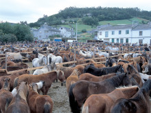 espana/galicia/20261015/caballos-toman-calles-mondonedo-ferias-antiguas-europa_469497