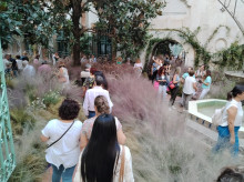 espana/la-voz-de-cordoba/cultura/20261012/otono-viste-flores-cordoba-anual-cita-flora_468237