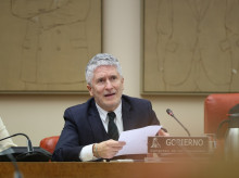 espana/20260226/marlaska-anuncia-inspeccion-protocolos-policiales-porque-algo-fallo-caso-exdao_389594