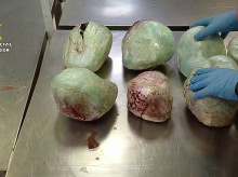 espana/madrid/20260226/descubren-15-pangolines-muertos-dentro-maleta-procedente-etiopia-aeropuerto-barajas_389606