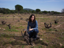 gente/20260228/bodega-madrid-conquistado-ayuso-campo-uva-futuro_390558