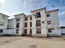 espana/la-voz-de-cordoba/provincia/20260301/junta-recibe-dos-ofertas-rehabilitacion-90-viviendas-publicas-alquiler-puente-genil_390767