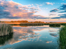 espana/castilla-la-mancha/20260308/asi-estan-hoy-tablas-daimiel-1000-hectareas-inundadas-regreso-masivo-aves_391734